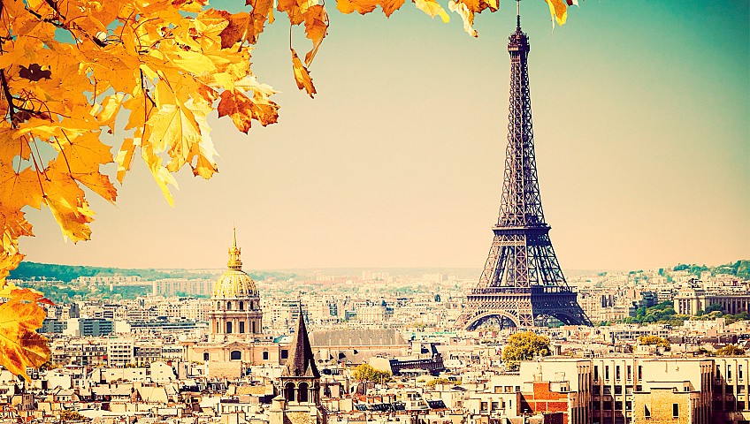 Paris Removals, Eiffel Tower